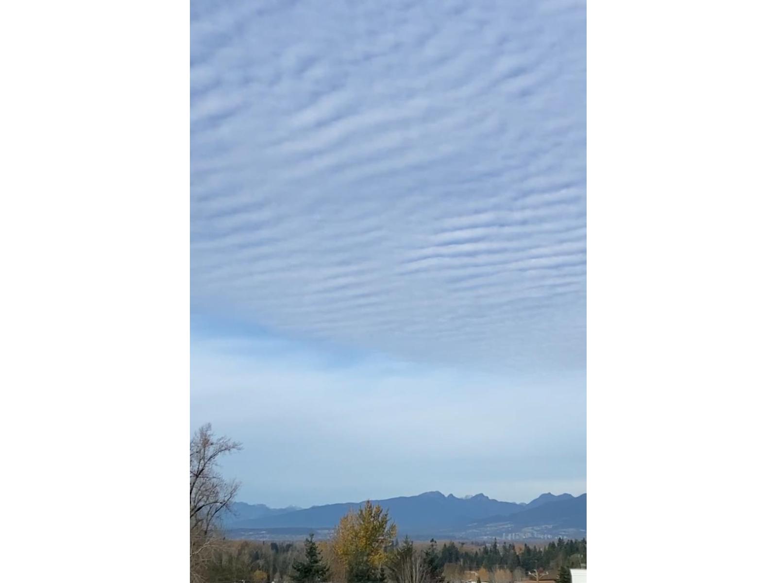 512 20049 82 AVENUE, Langley