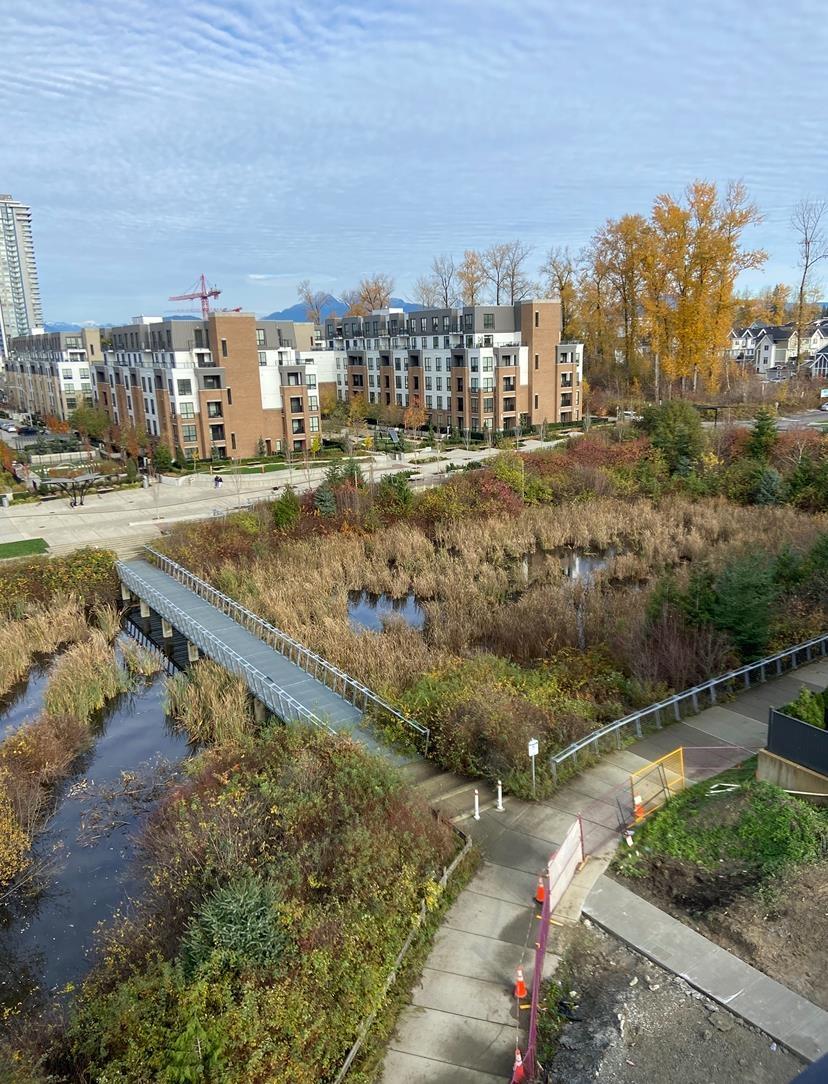 512 20049 82 AVENUE, Langley