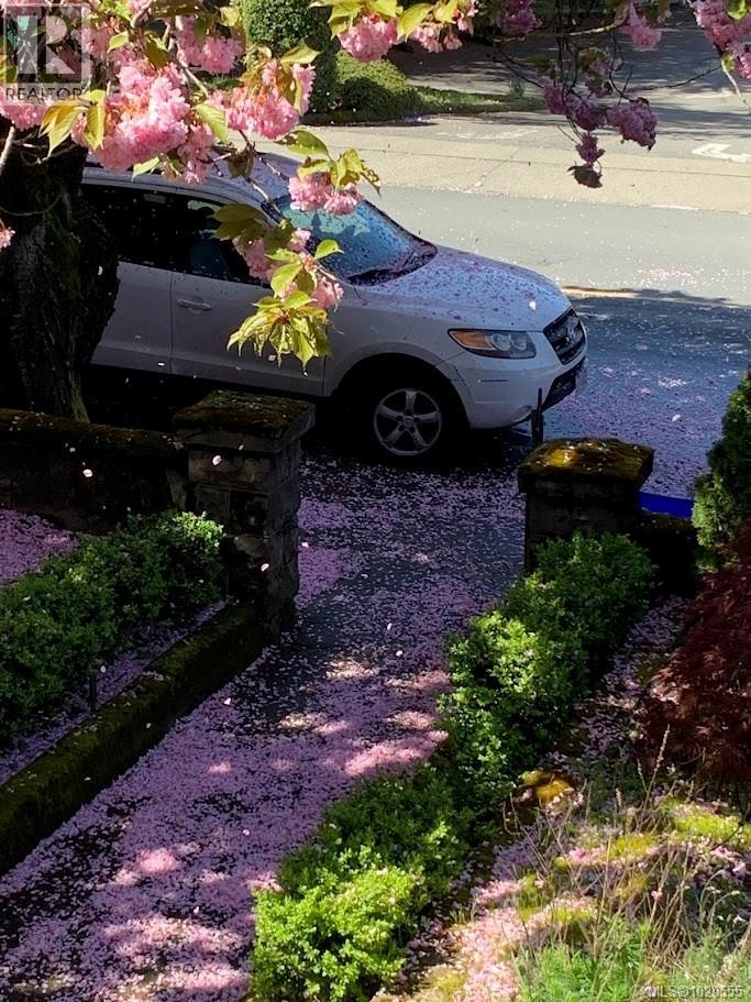 2329 Dowler Pl, Victoria