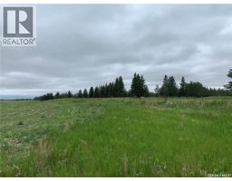 140 Acres Mcdonald Street East On 46, Pilot Butte, SK S0G4A0 Photo 9