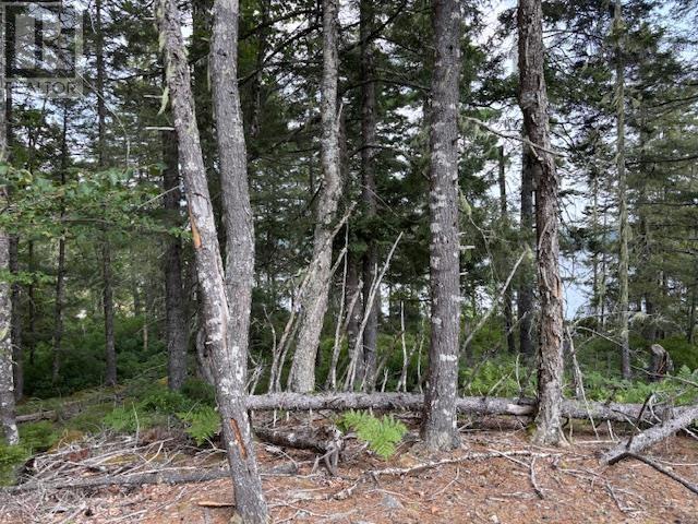 Property 18 of 20 of Lot 25 Beaver Dam Trail