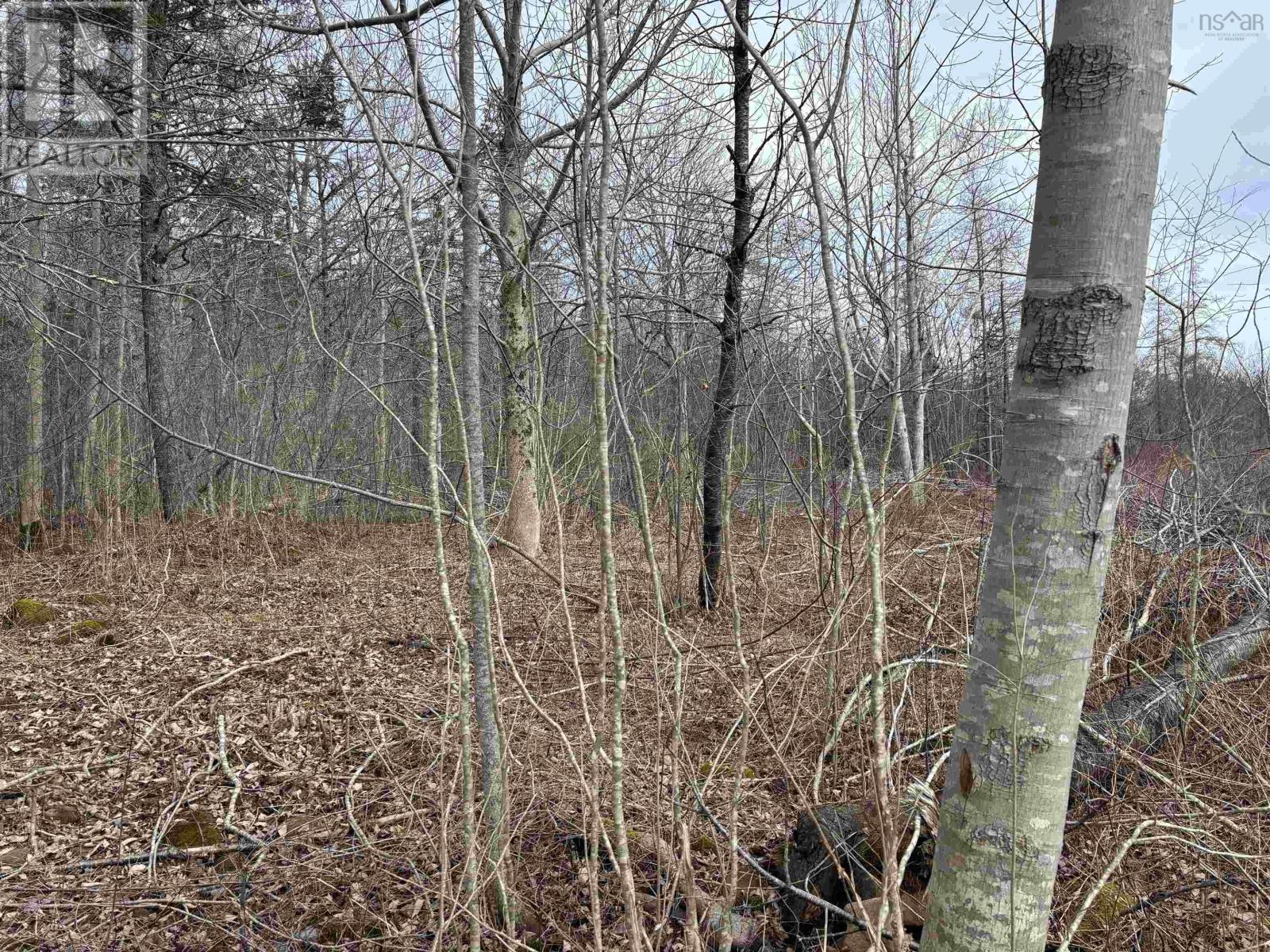 Property 6 of 12 of Culloden Road