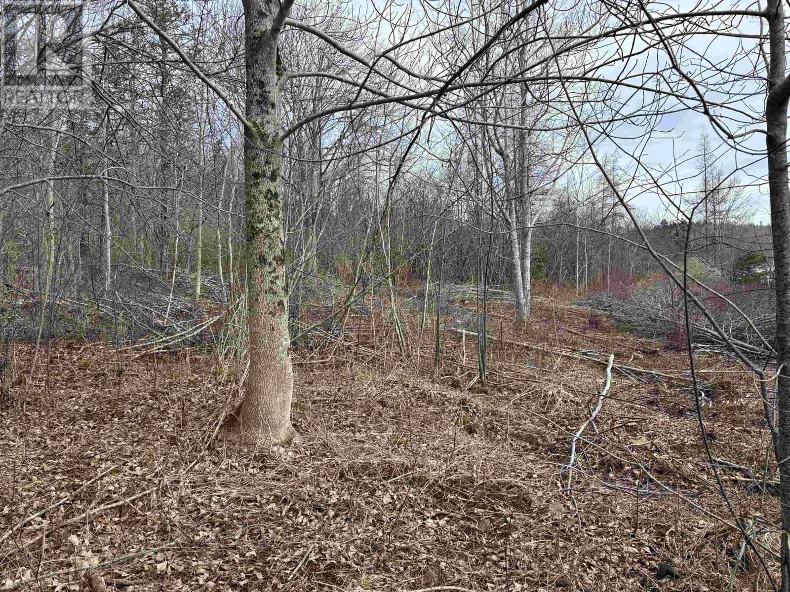 Property 8 of 12 of Culloden Road