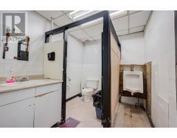 28 Mill Street E, Halton Hills, ON L7J1H2 Photo 43
