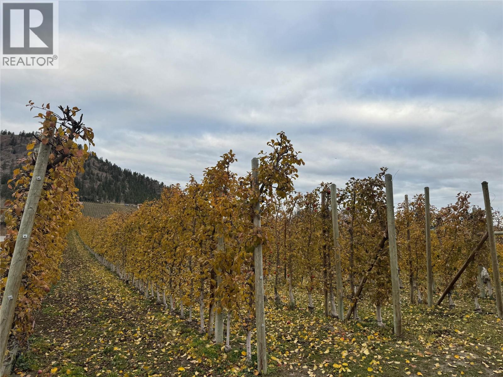 5803 Lewes Avenue, Summerland