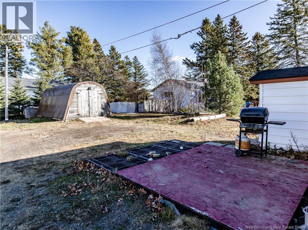 10491 PRINCIAPLE - 20
