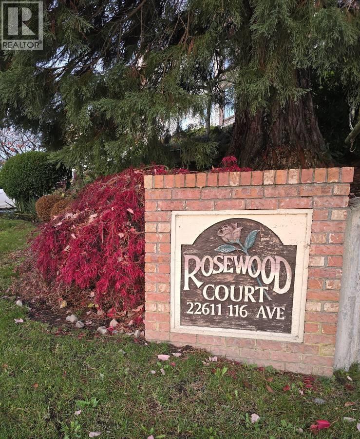 311 22611 116 AVE, Maple Ridge