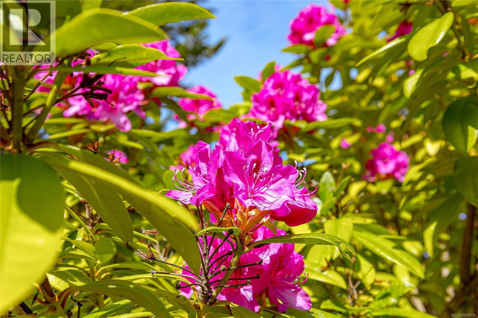  4516 Duart Road, Saanich