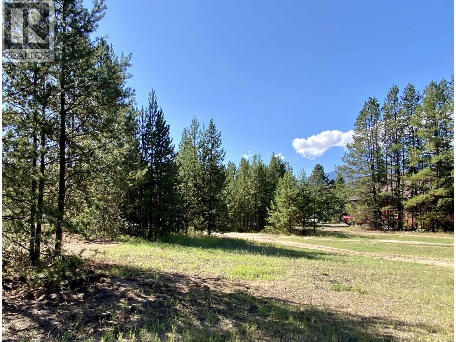 1170 14TH AVENUE, Valemount