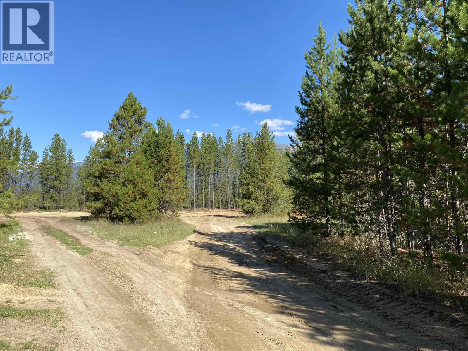 1170 14TH AVENUE, Valemount