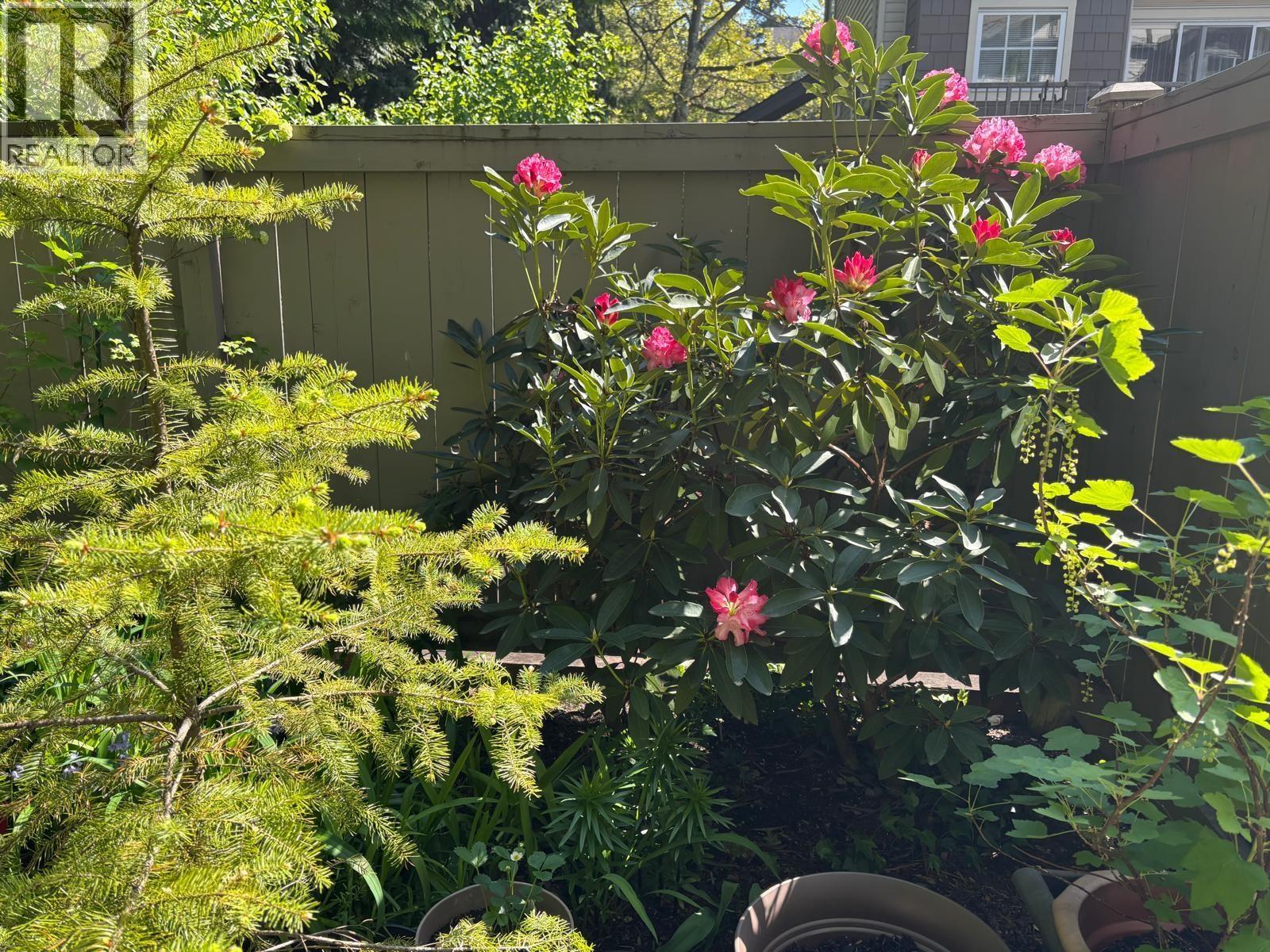 16 3379 MORREY COURT, Burnaby