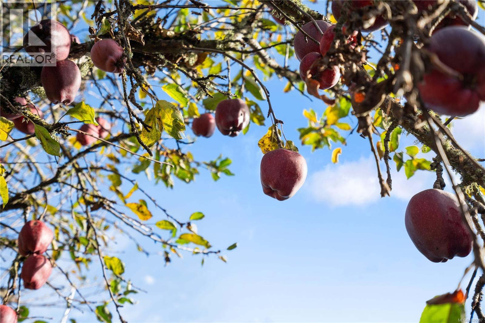 6428 Bella Vista Dr, Central Saanich