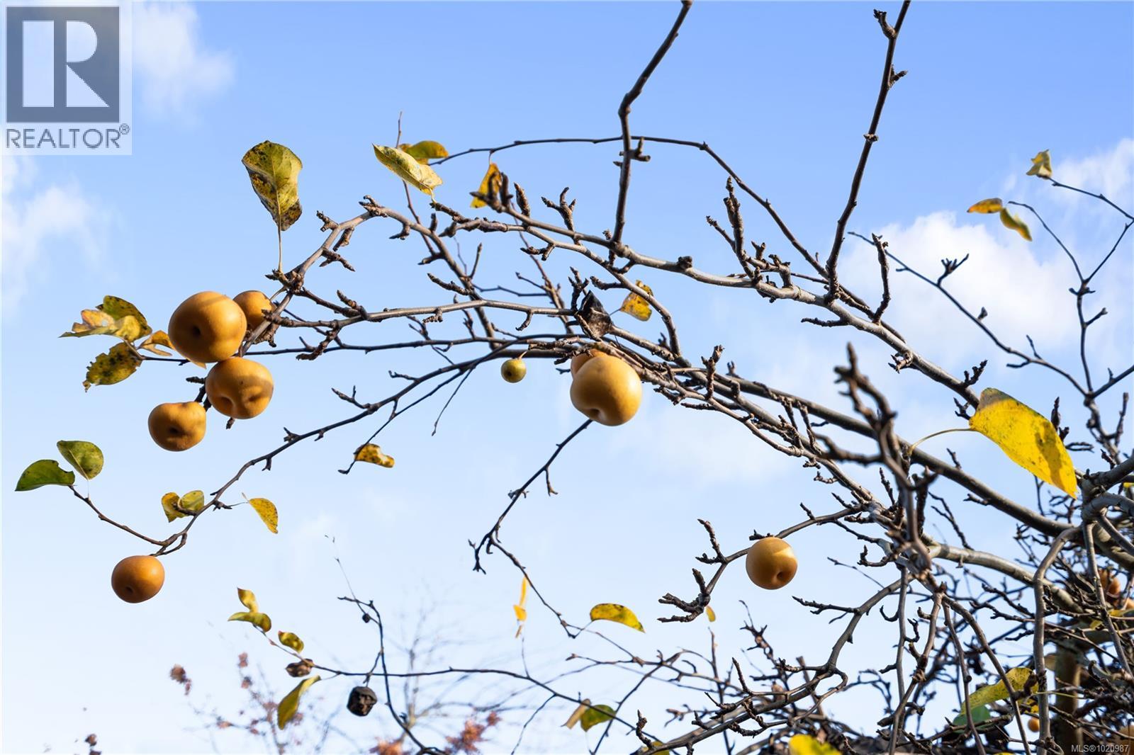 6428 Bella Vista Dr, Central Saanich