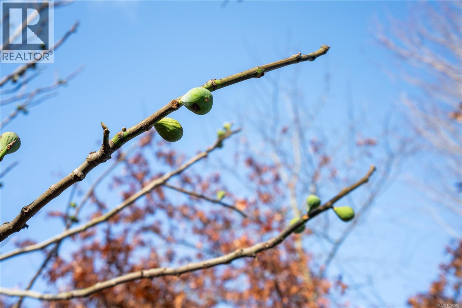 6428 Bella Vista Dr, Central Saanich