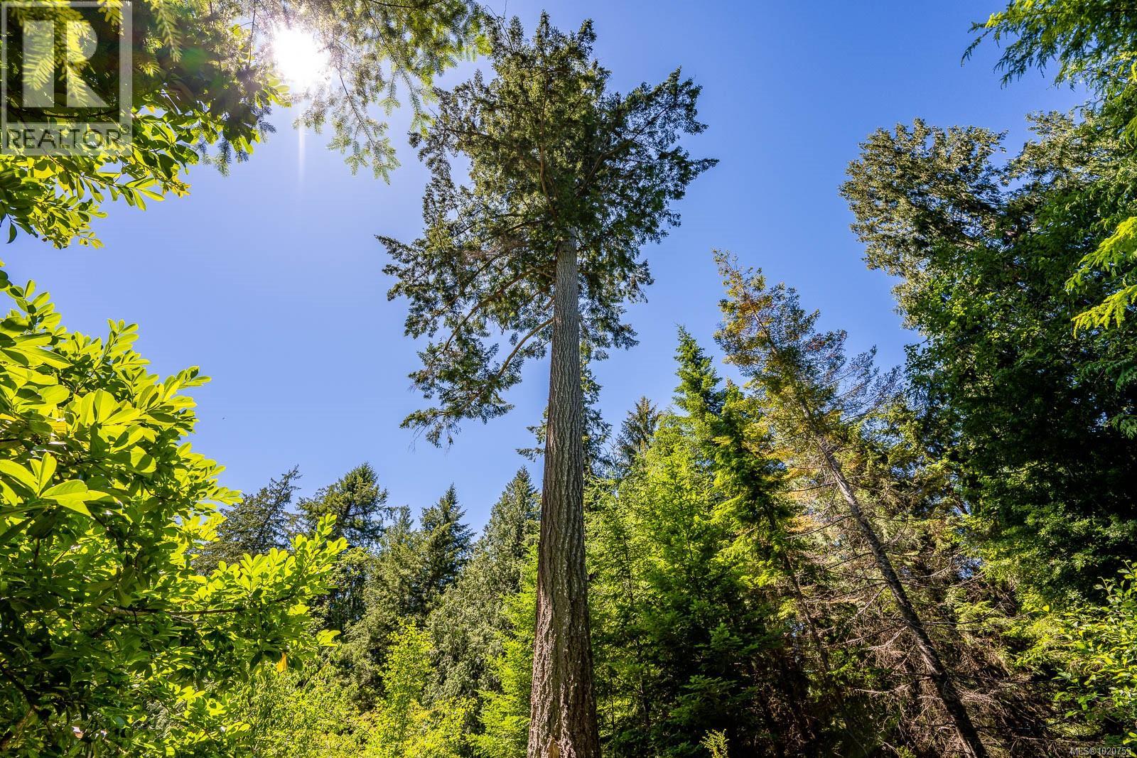 1408 Robertson Rd, Cortes Island