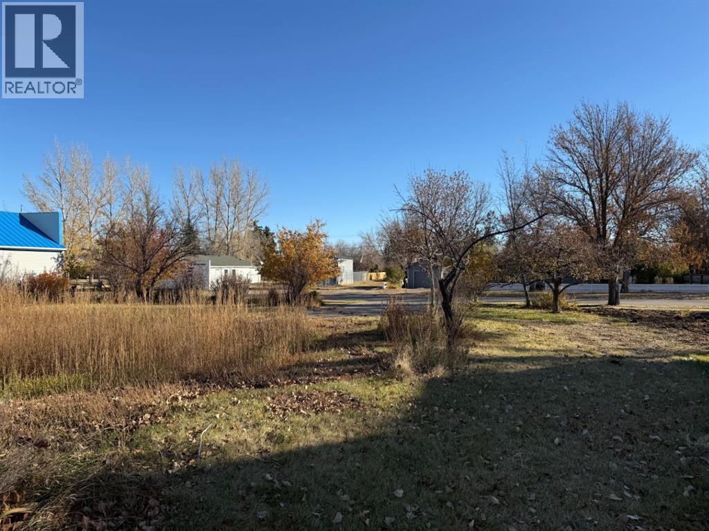 410 Grand Avenue - Photo 5 of 6, Carmangay, Alberta