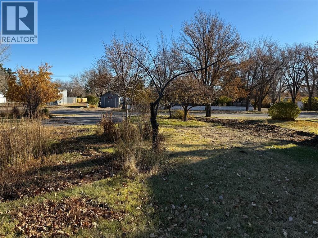 410 Grand Avenue - Photo 2 of 6, Carmangay, Alberta