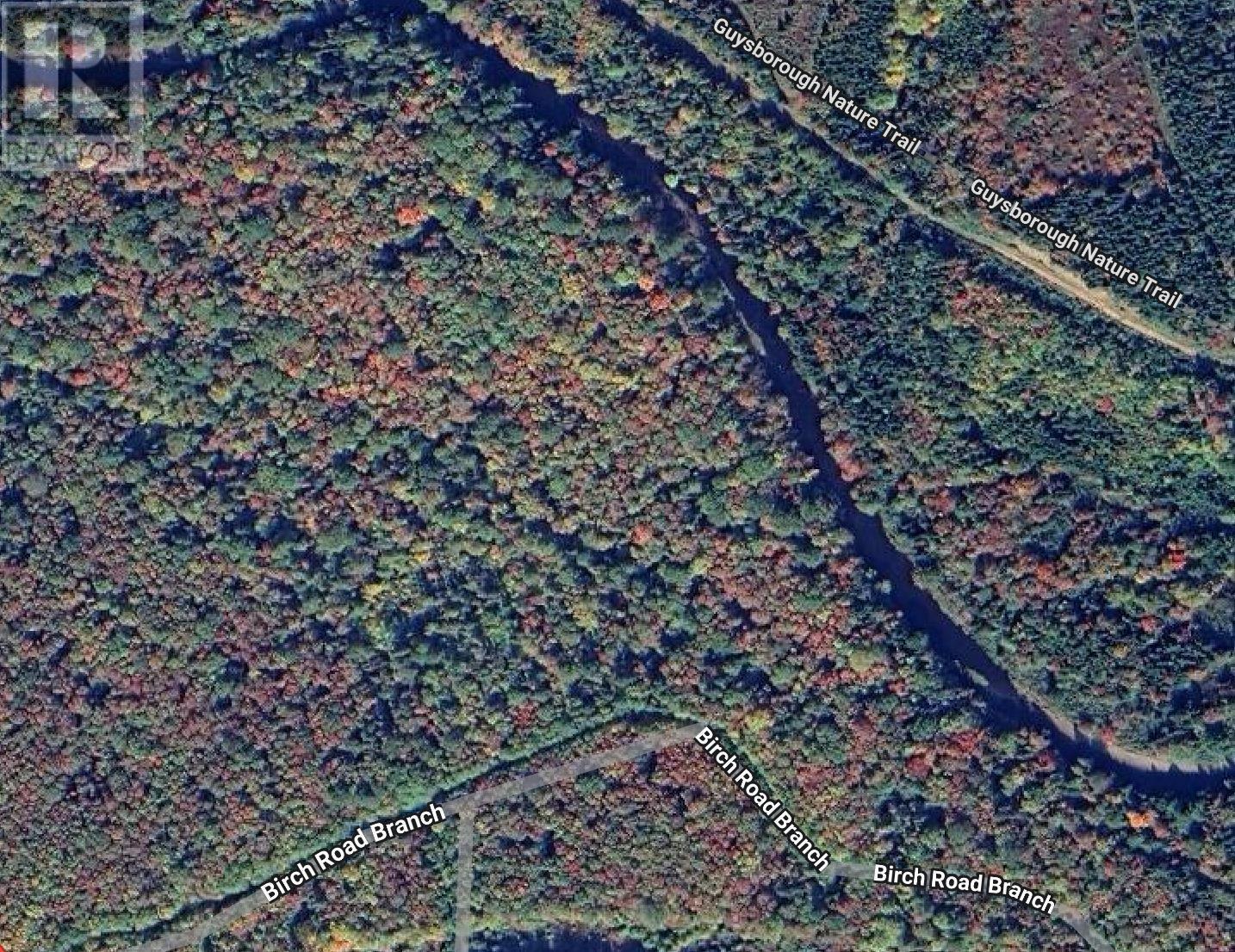 Lot 28 Birch Road Branch, Ogden, Nova Scotia