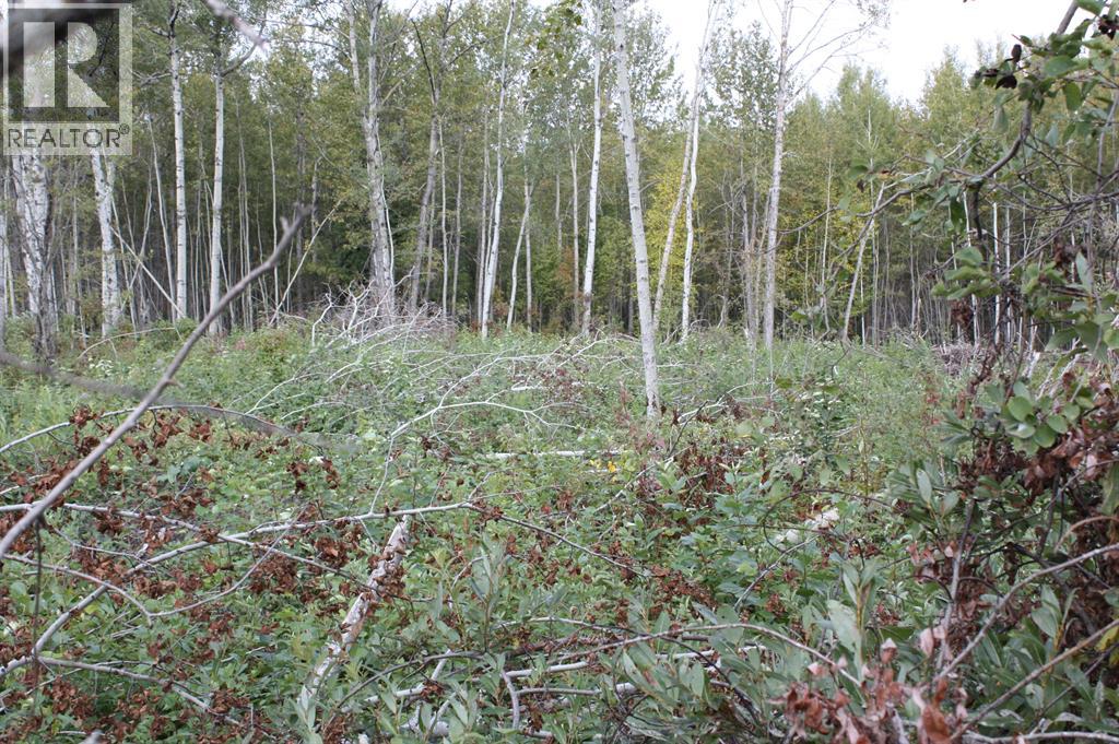 110 67324 MISSION Road, Lac La Biche