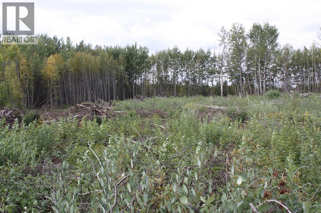 110 67324 MISSION Road, Lac La Biche