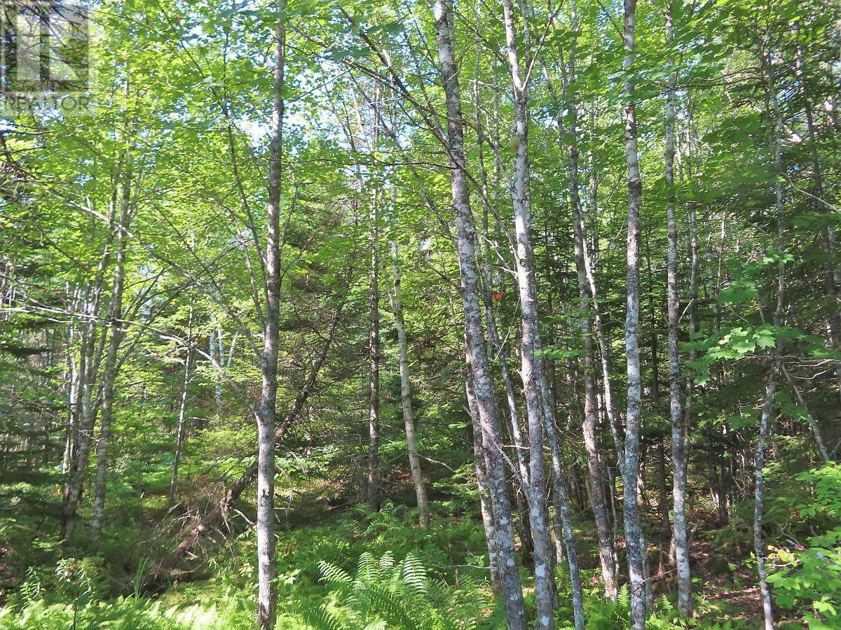 Property 17 of 33 of Lot5 Lower River Road