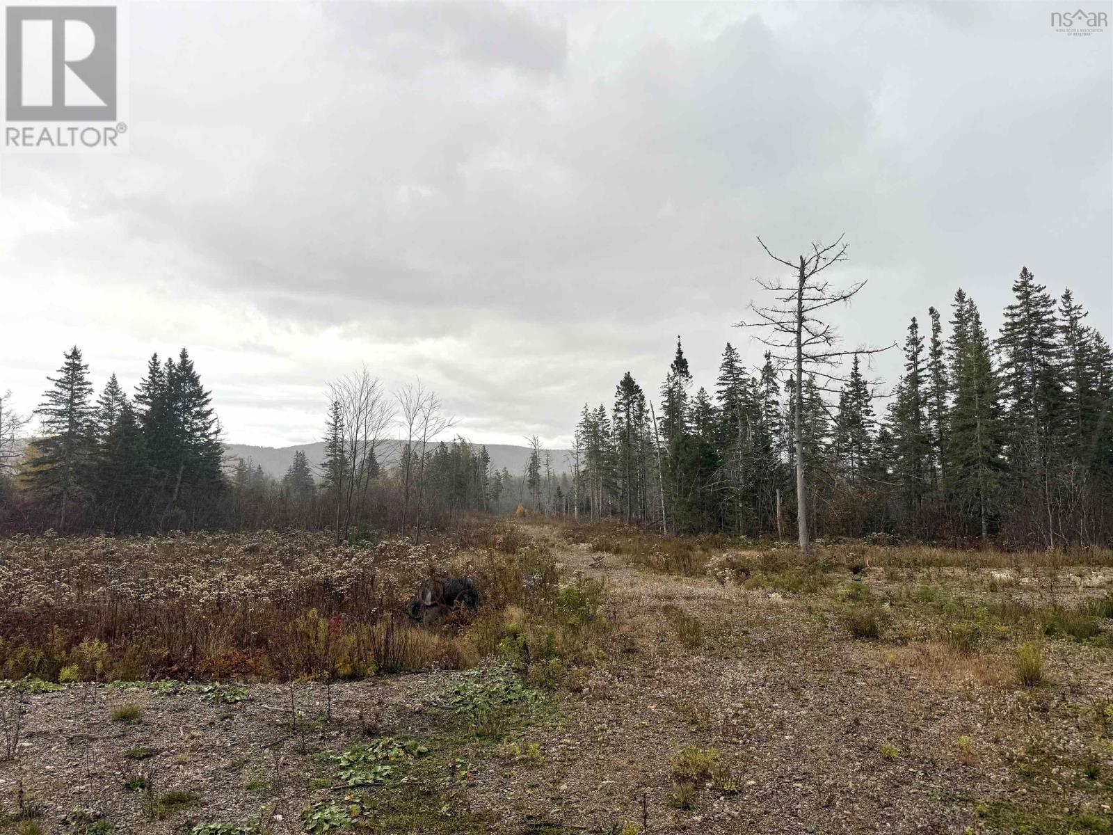 Property 3 of 20 of Barren Road