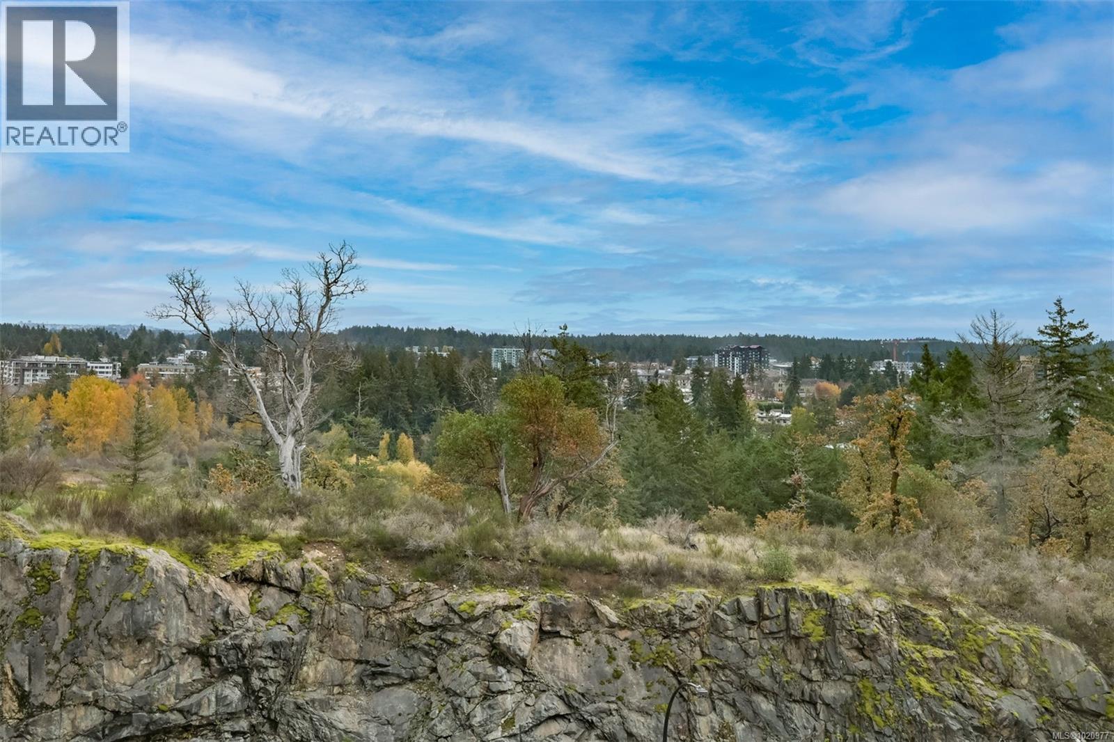  1137 Moonstone Loop, Langford