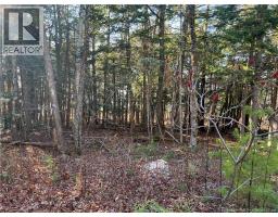 Great room - 4 Pamela Lane, Wickham, NB E5T0B6 Photo 6