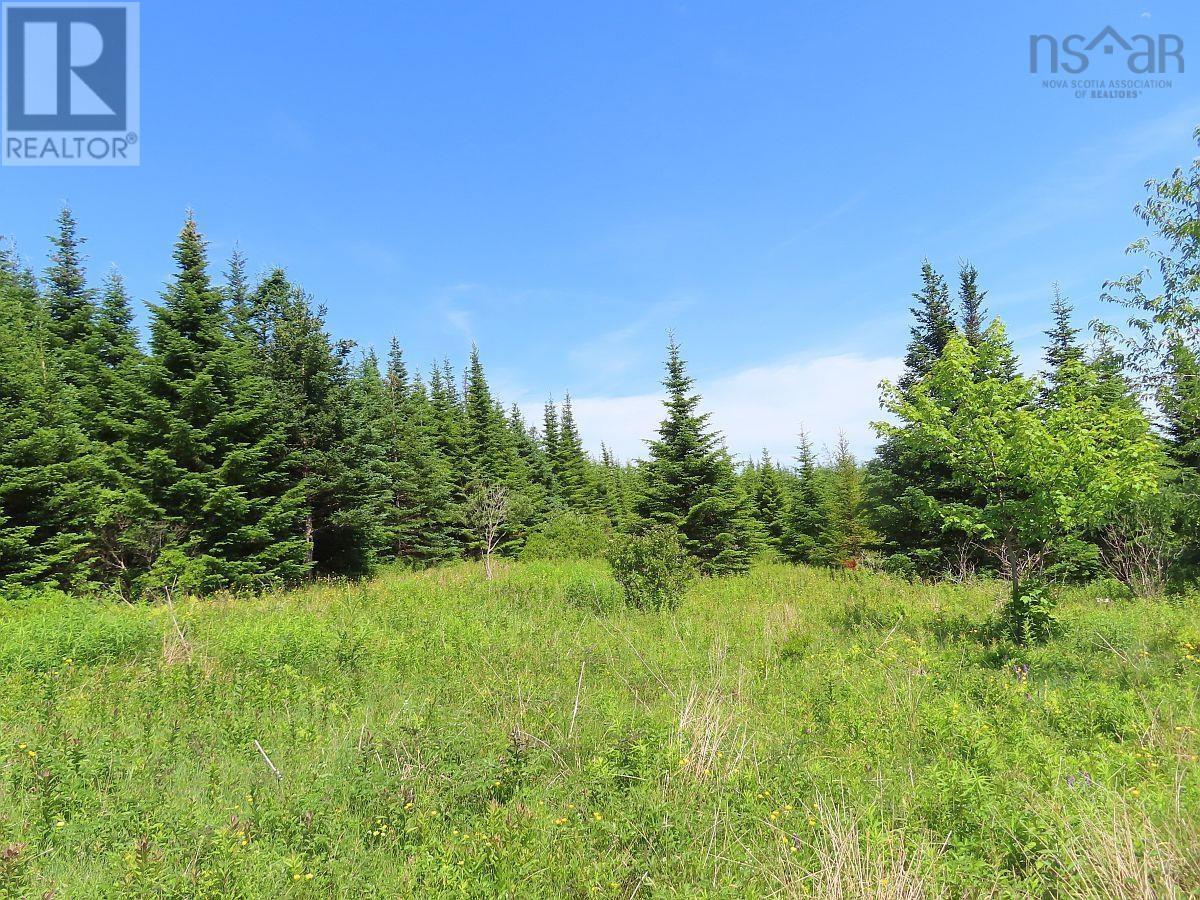 Property 25 of 47 of LOT 4 Highway 4