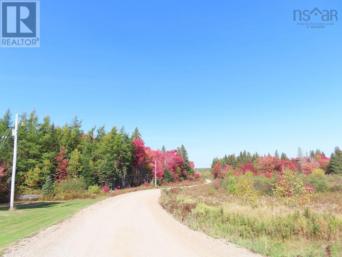 Property 36 of 47 of 62 Acres West Side Road