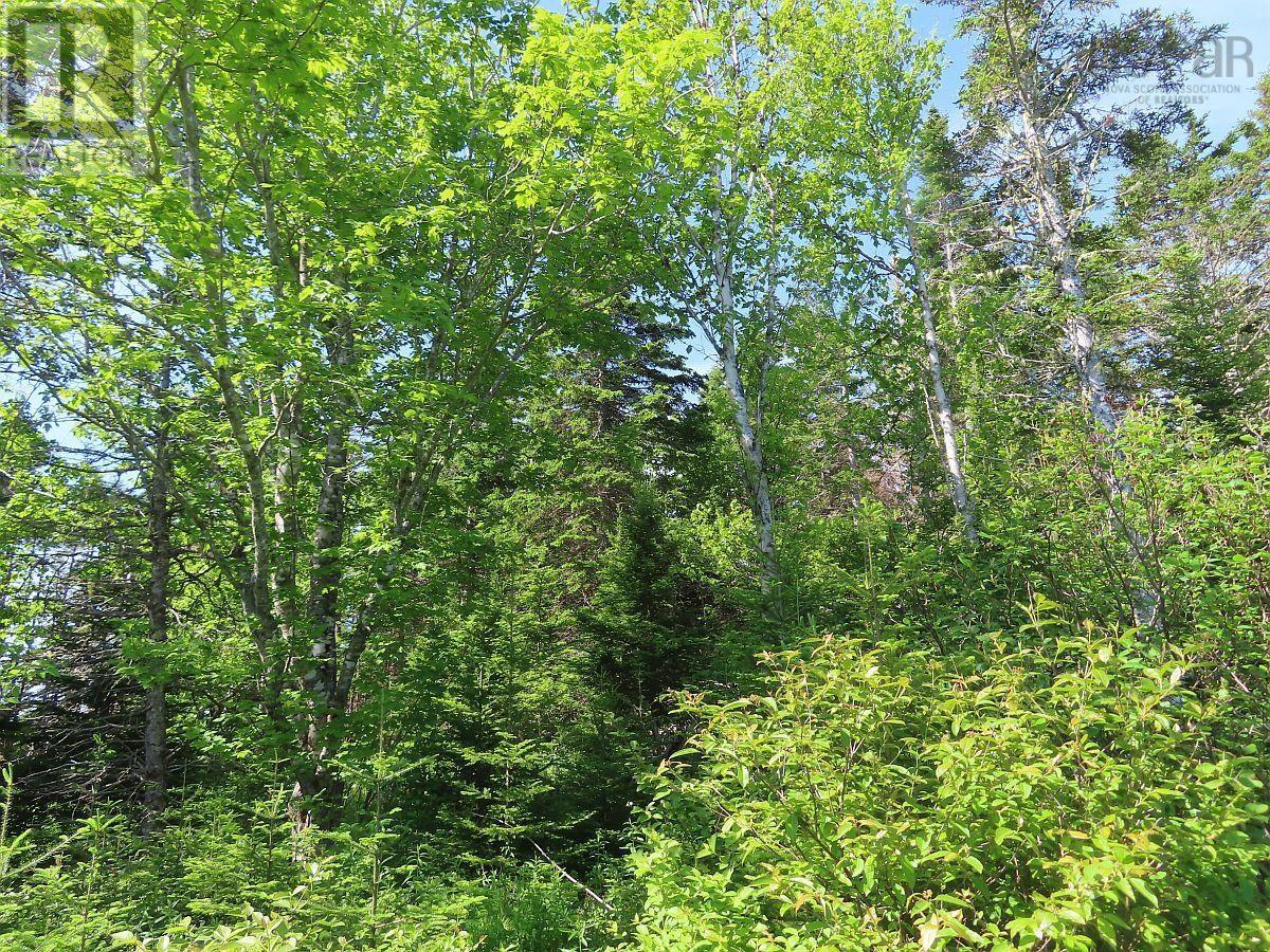 Property 25 of 32 of Lot 2 Old Trunk 4 Highway