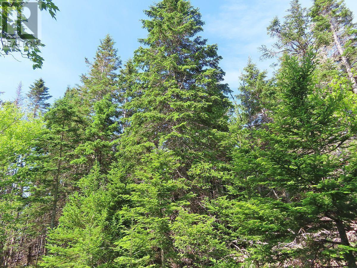 Property 3 of 32 of Lot 2 Old Trunk 4 Highway