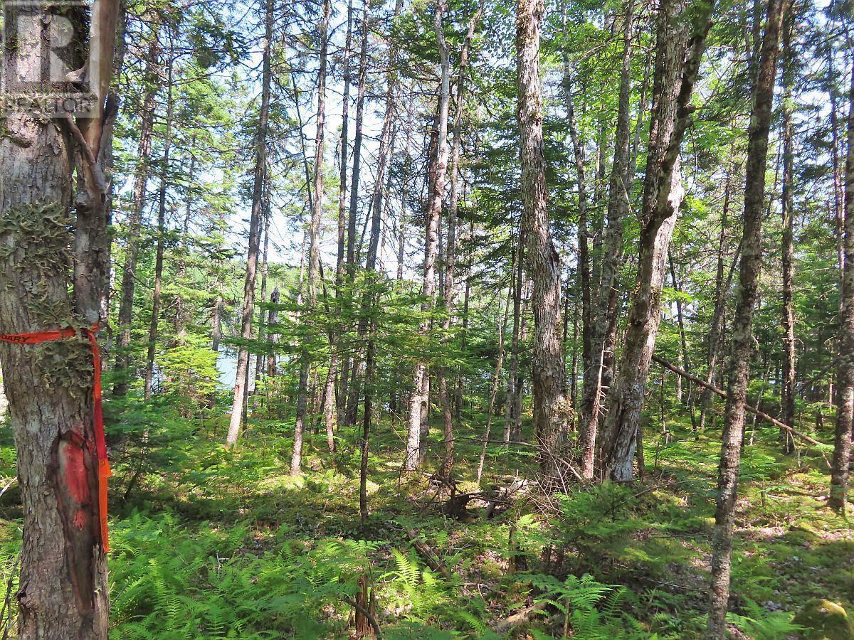 Property 18 of 45 of Lot 2 Lower River Road