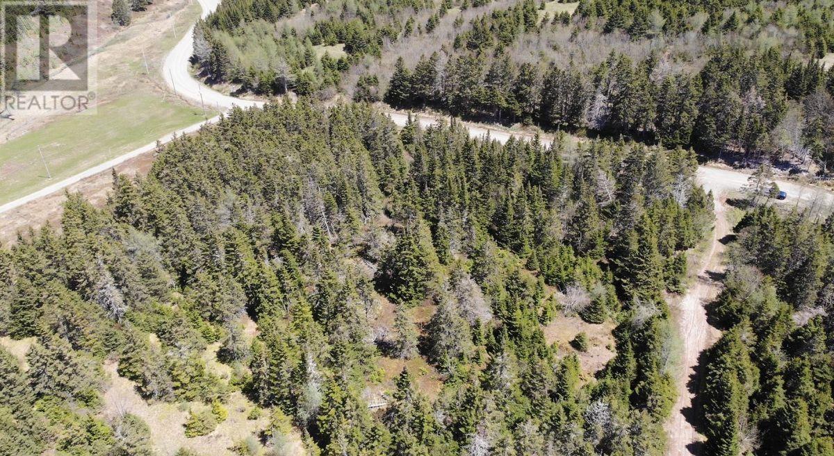 Property 12 of 28 of 28 Acres Upper Grand Mira Road