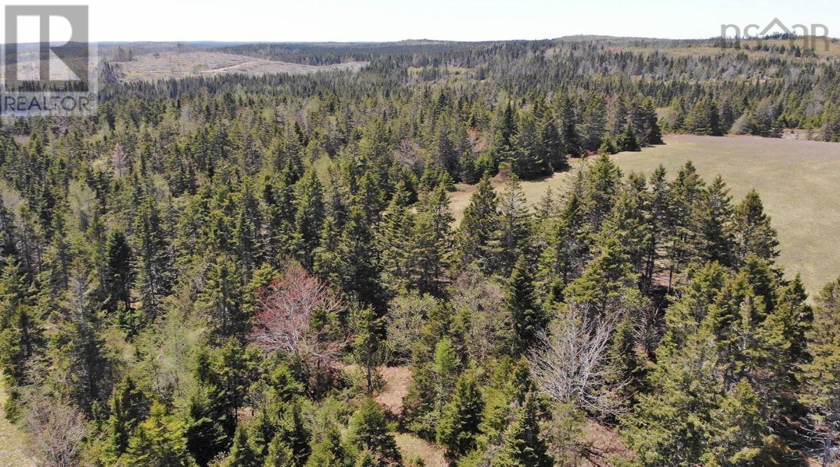 Property 11 of 28 of 28 Acres Upper Grand Mira Road