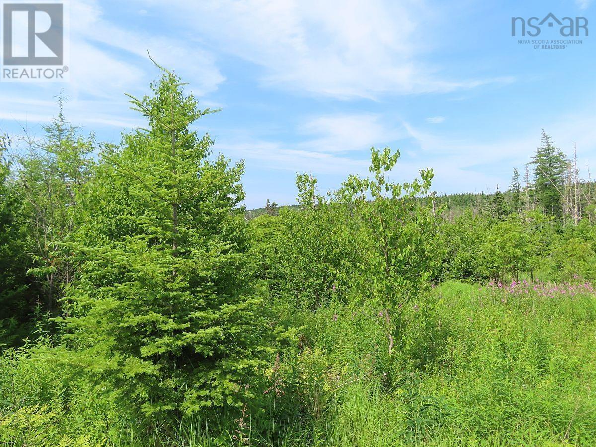 Property 25 of 43 of Lot 3 Rear Big Cove Road