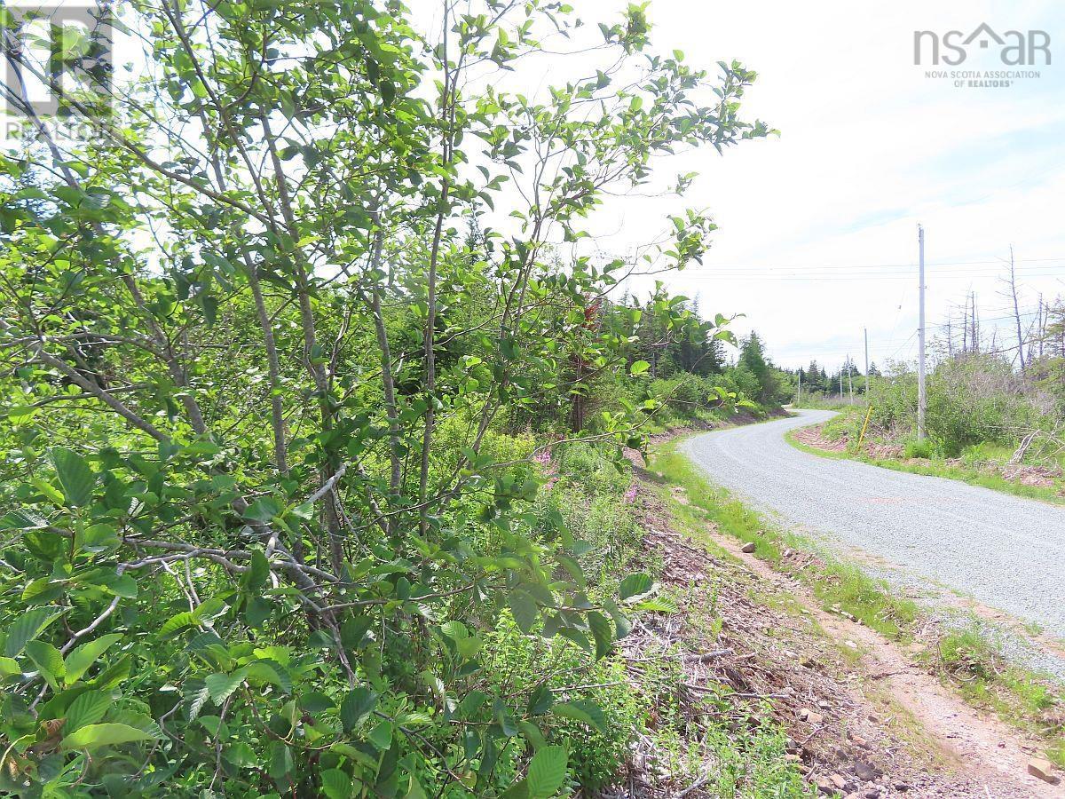 Property 30 of 43 of Lot 3 Rear Big Cove Road