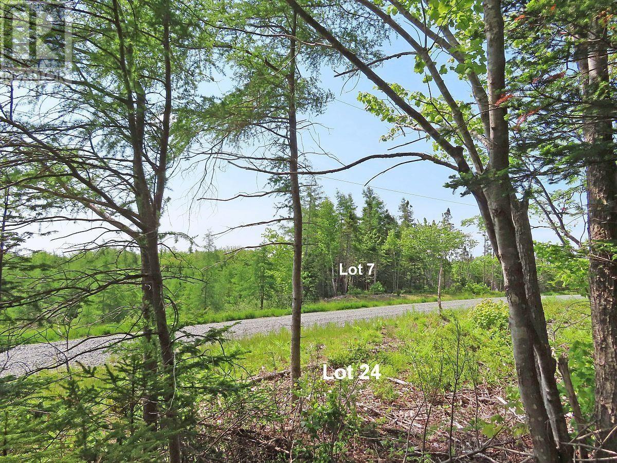 Property 5 of 32 of Lot 24 Perry Lane