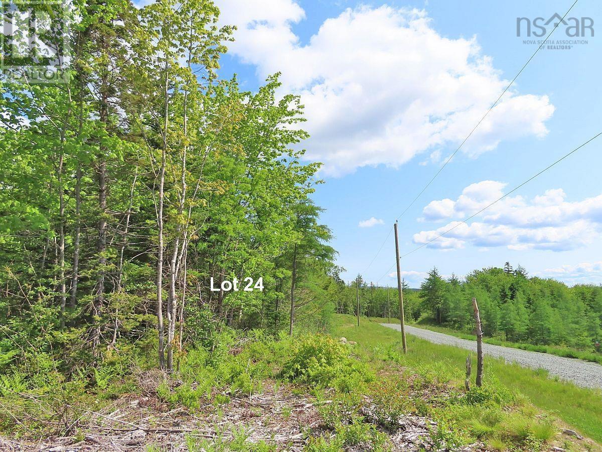 Property 11 of 32 of Lot 24 Perry Lane