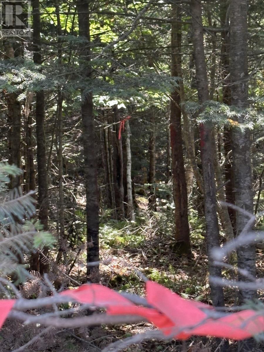 Property 6 of 7 of LOT 03-1 WEST BAY Road