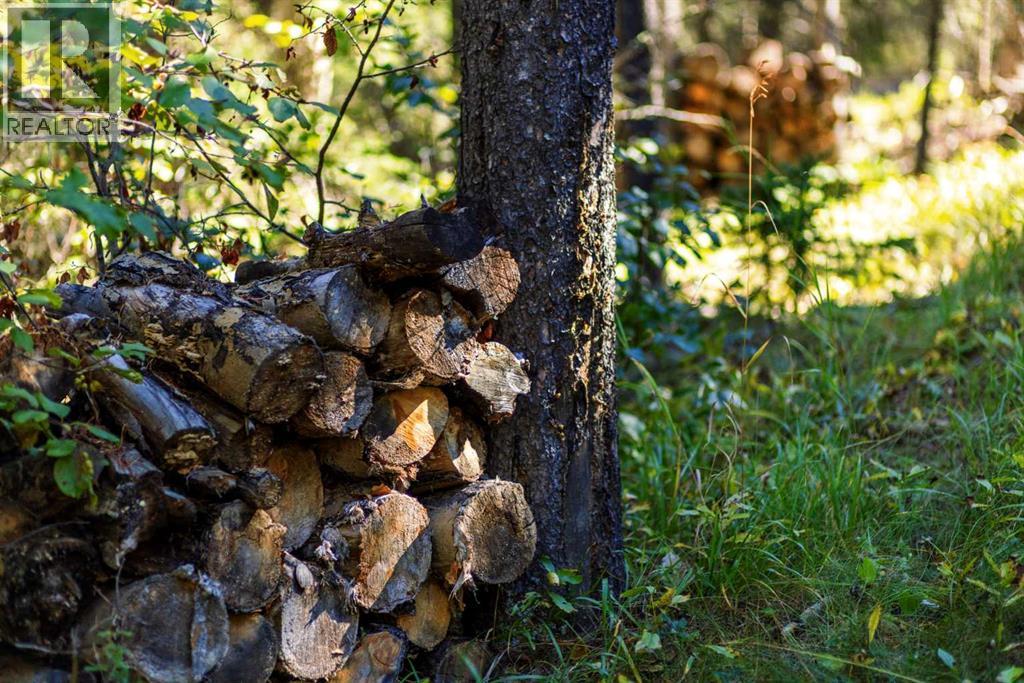 231031 Forestry Way, Bragg Creek