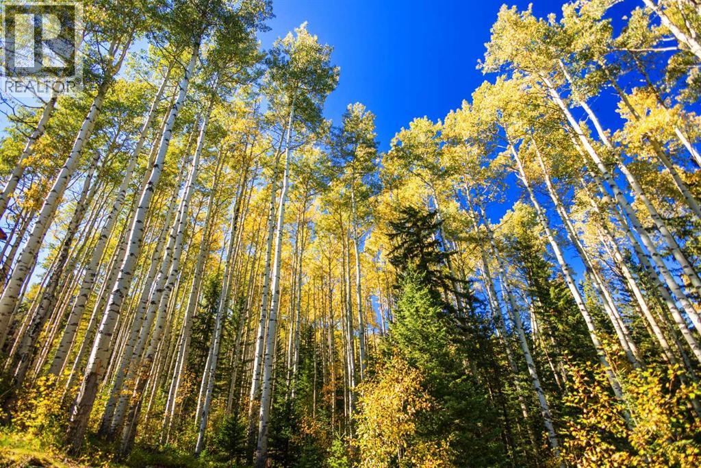 231031 Forestry Way, Bragg Creek