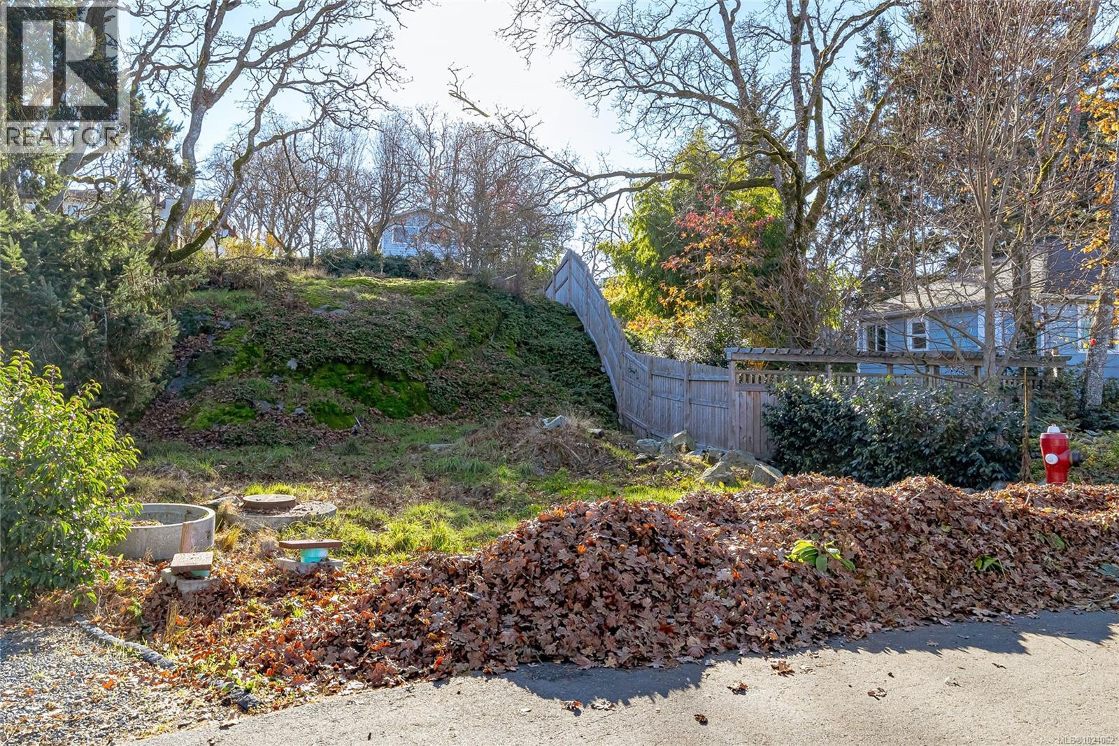  1540 Athlone Drive, Saanich