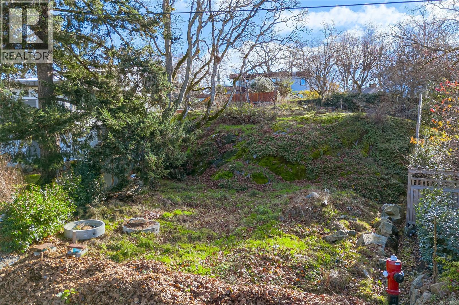  1540 Athlone Drive, Saanich