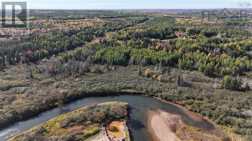 Property 16 of 19 of 22 acres Dowling Road