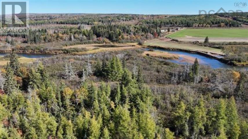 Property 14 of 19 of 22 acres Dowling Road