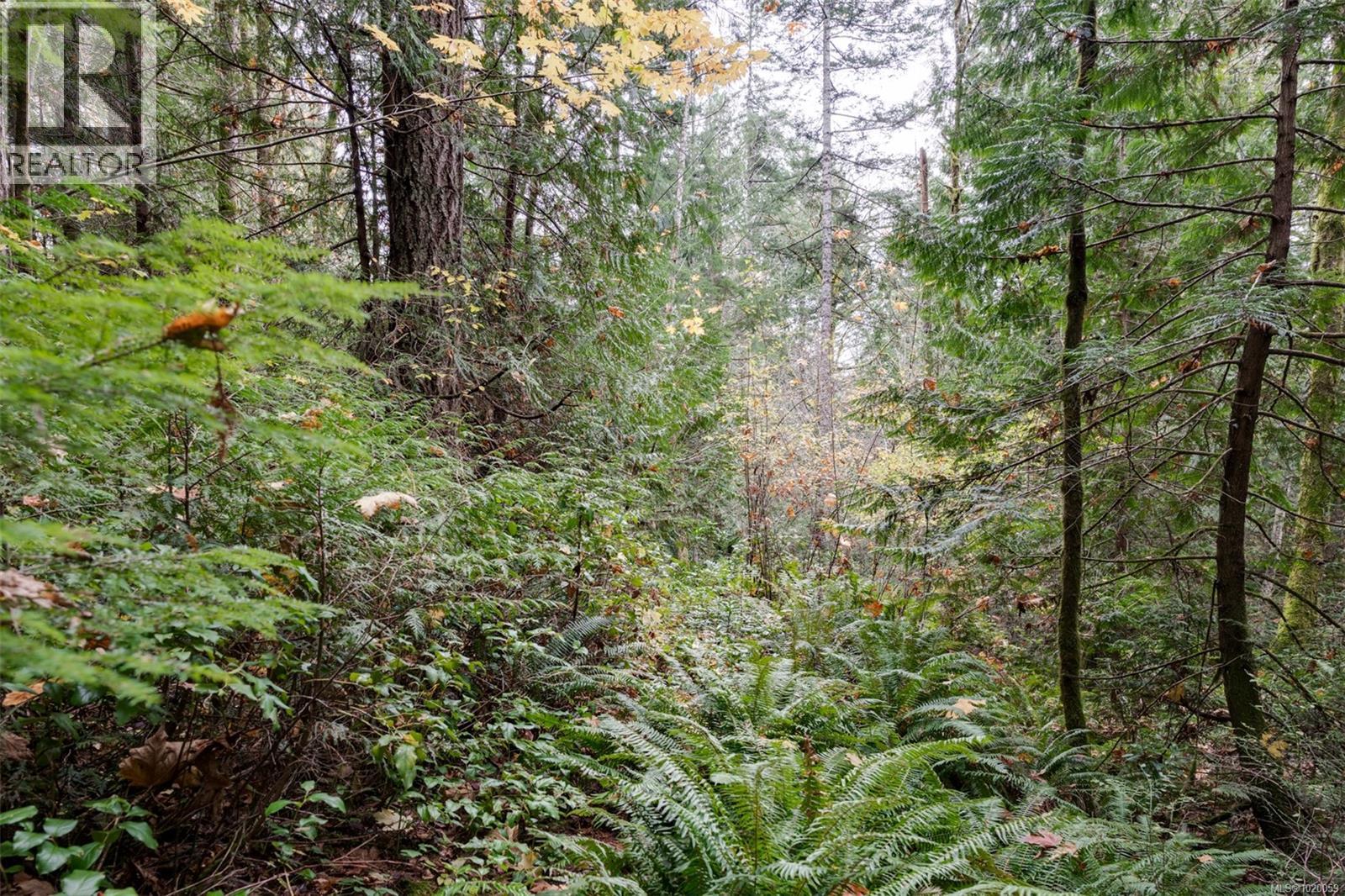  4970 Sooke Road, Metchosin