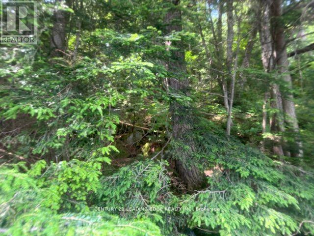 0 ISLAND LAKE ROAD - Photo 3 of 10, Kearney, Ontario