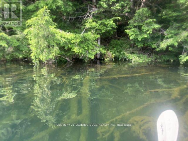 0 ISLAND LAKE ROAD - Photo 5 of 10, Kearney, Ontario