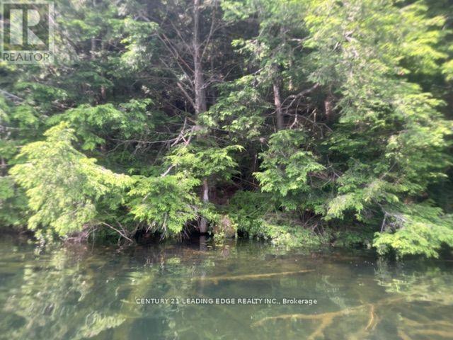 0 ISLAND LAKE ROAD - Photo 4 of 10, Kearney, Ontario